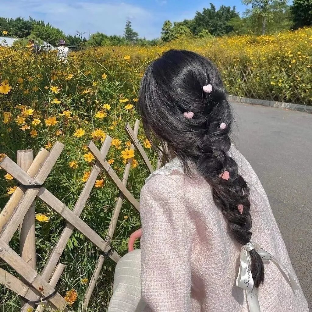 雨树之国